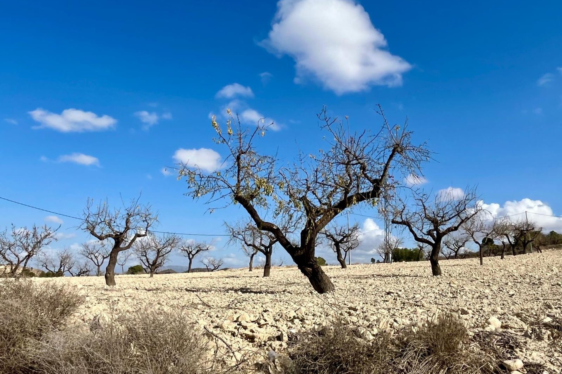 Resale - Land -
BULLAS - Costa Calida