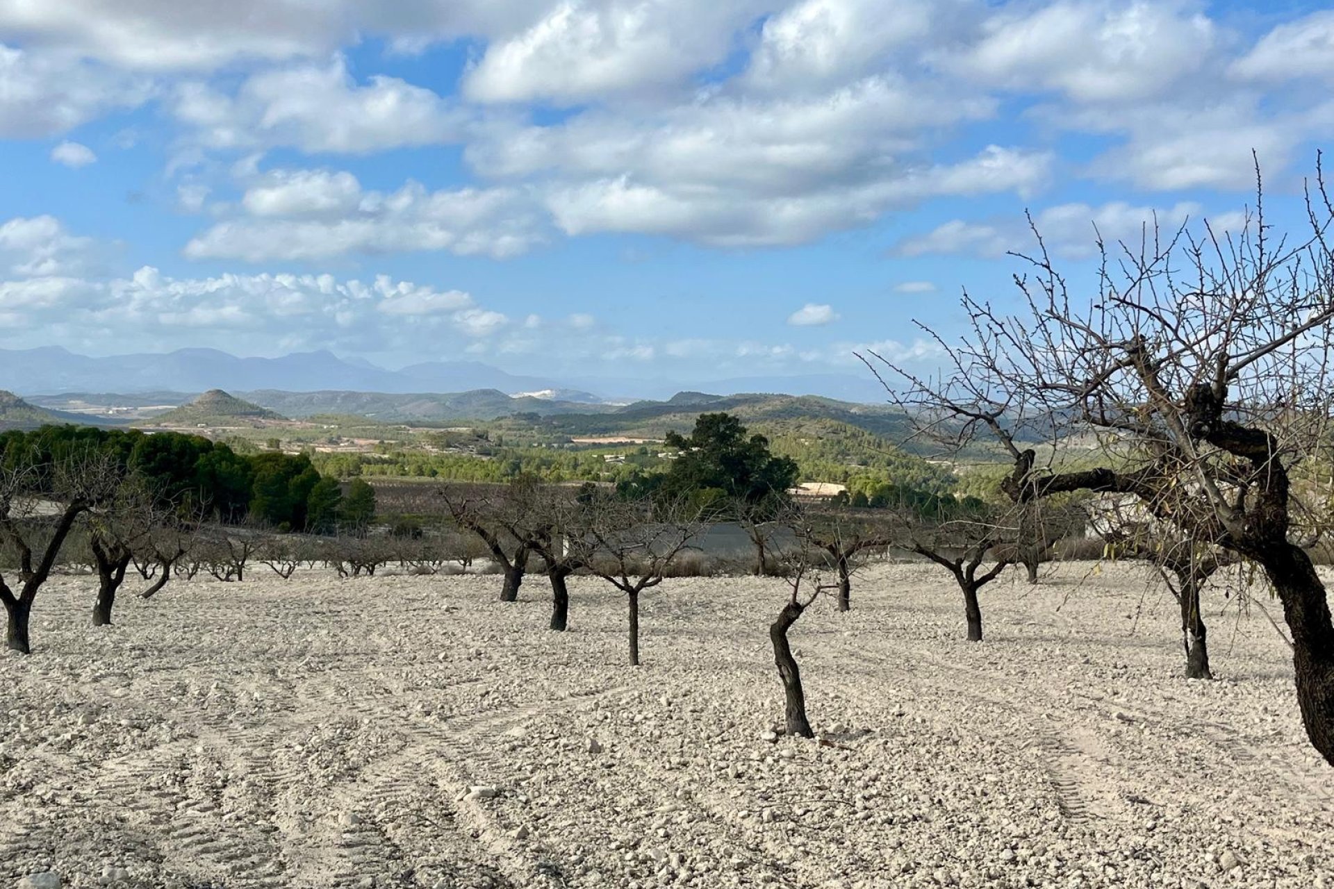 Resale - Land -
BULLAS - Costa Calida