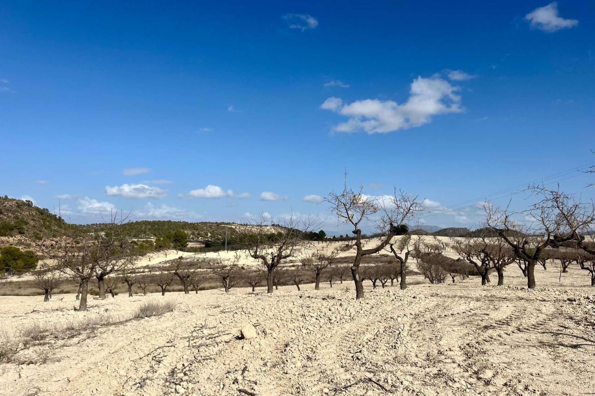 Resale - Land -
BULLAS - Costa Calida