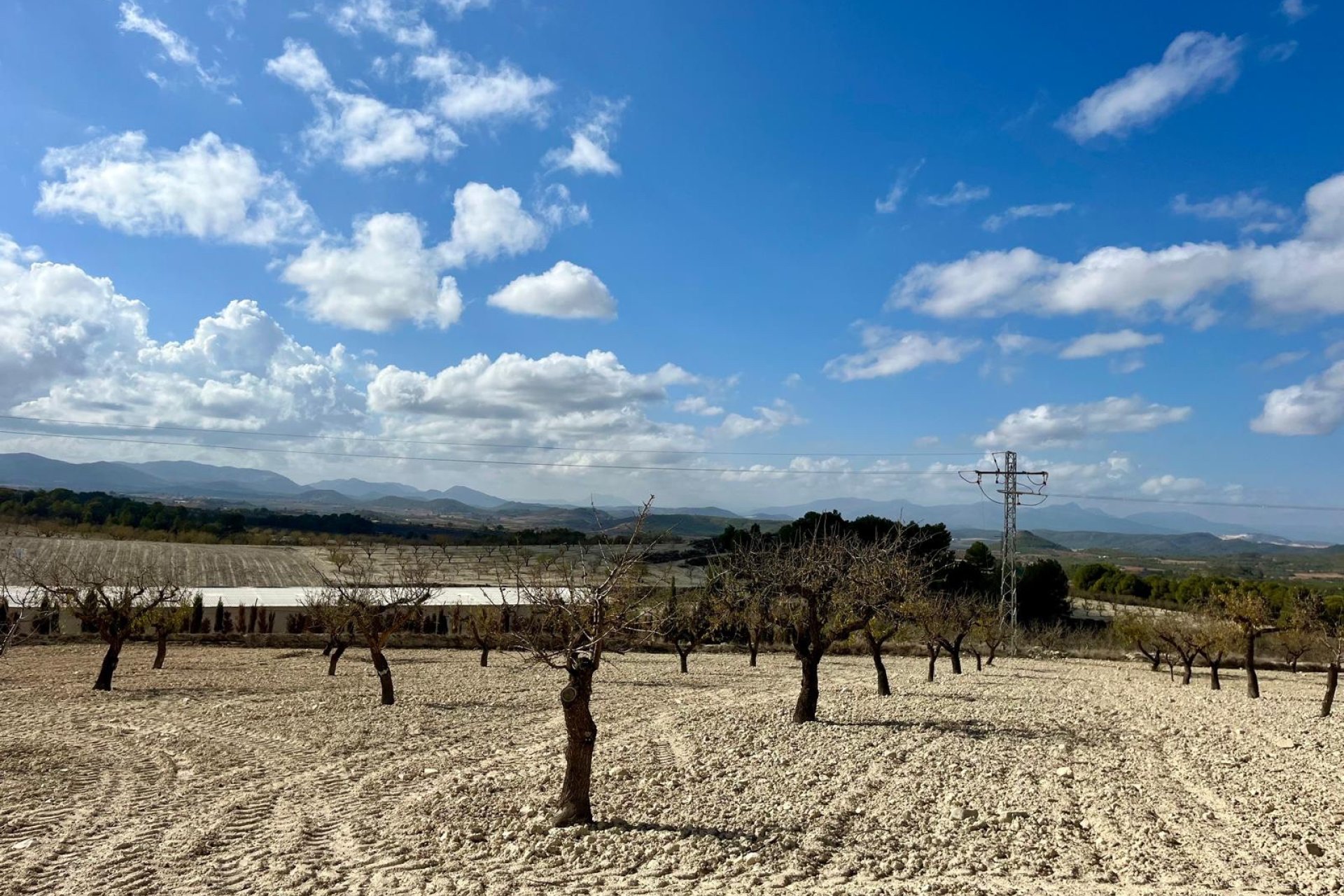 Resale - Land -
BULLAS - Costa Calida