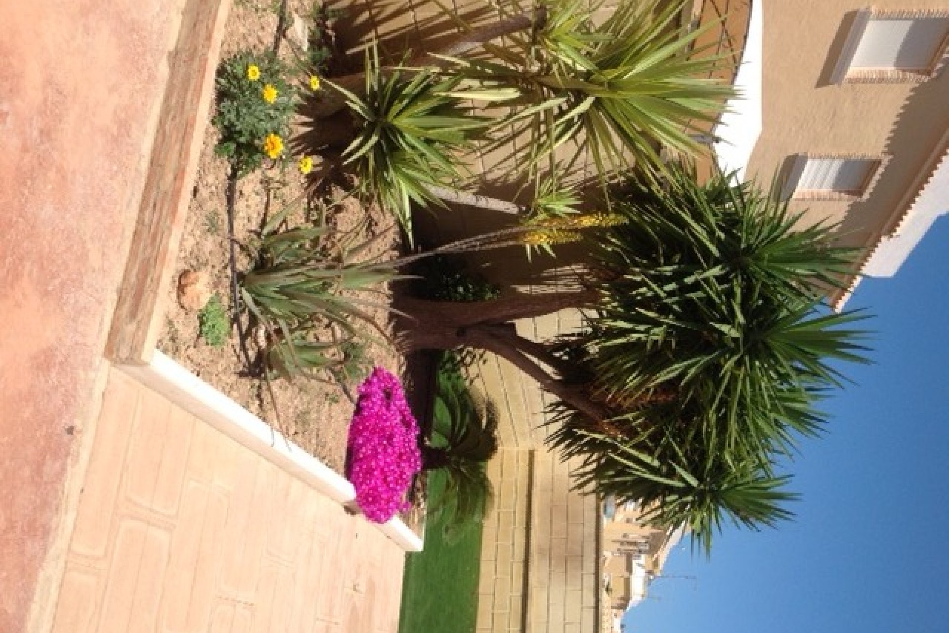 Resale - Townhouse -
Ciudad Quesada - Doña Pepa
