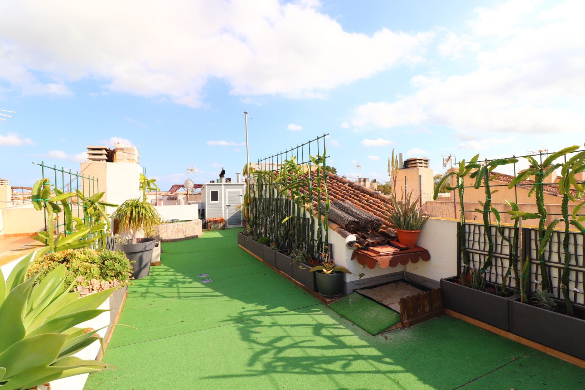Resale - Townhouse -
Redovan - Redovan - Town