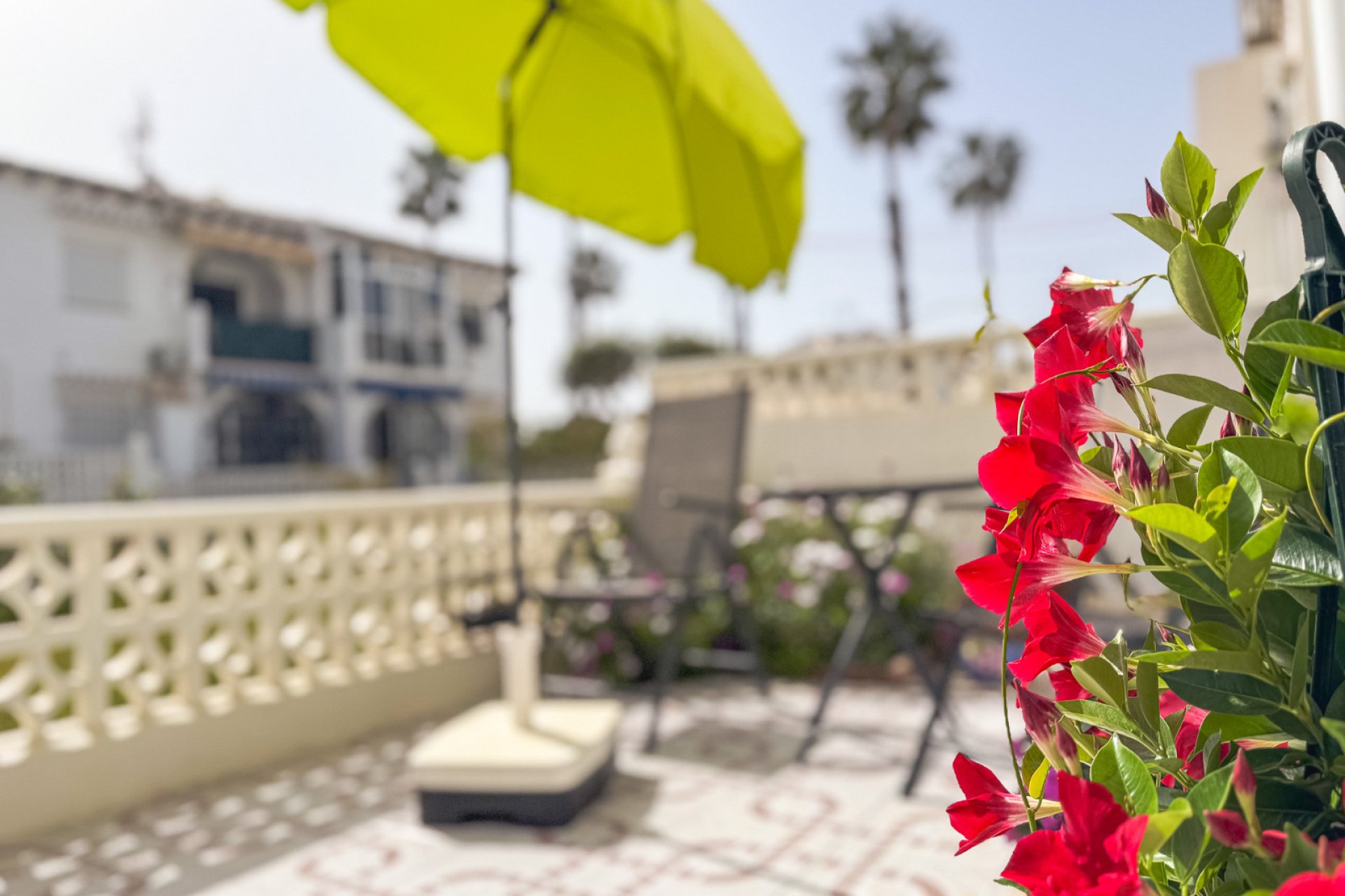 Resale - Townhouse -
Torrevieja - Lago Jardin