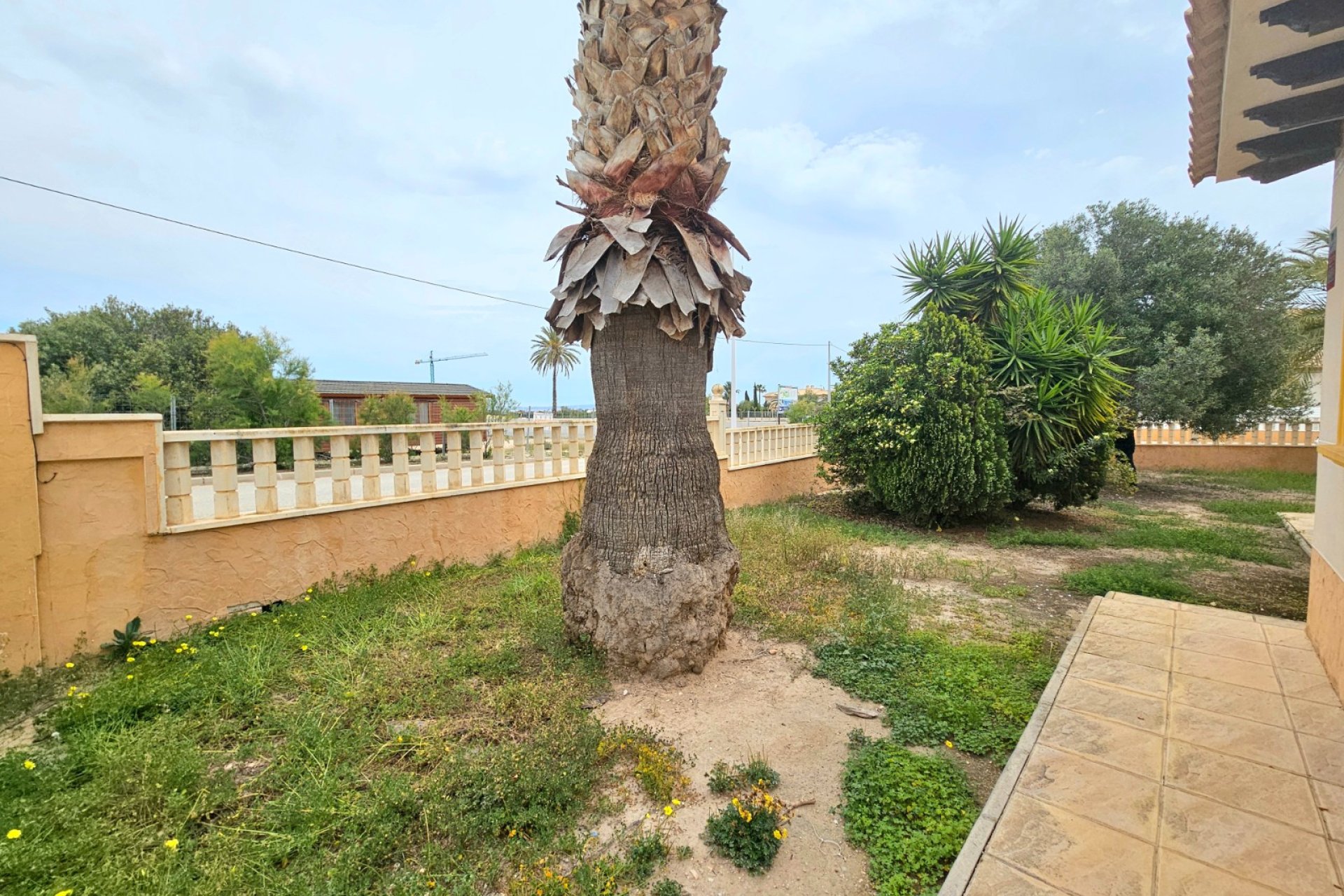 Resale - Villa -
Elche - La Marina
