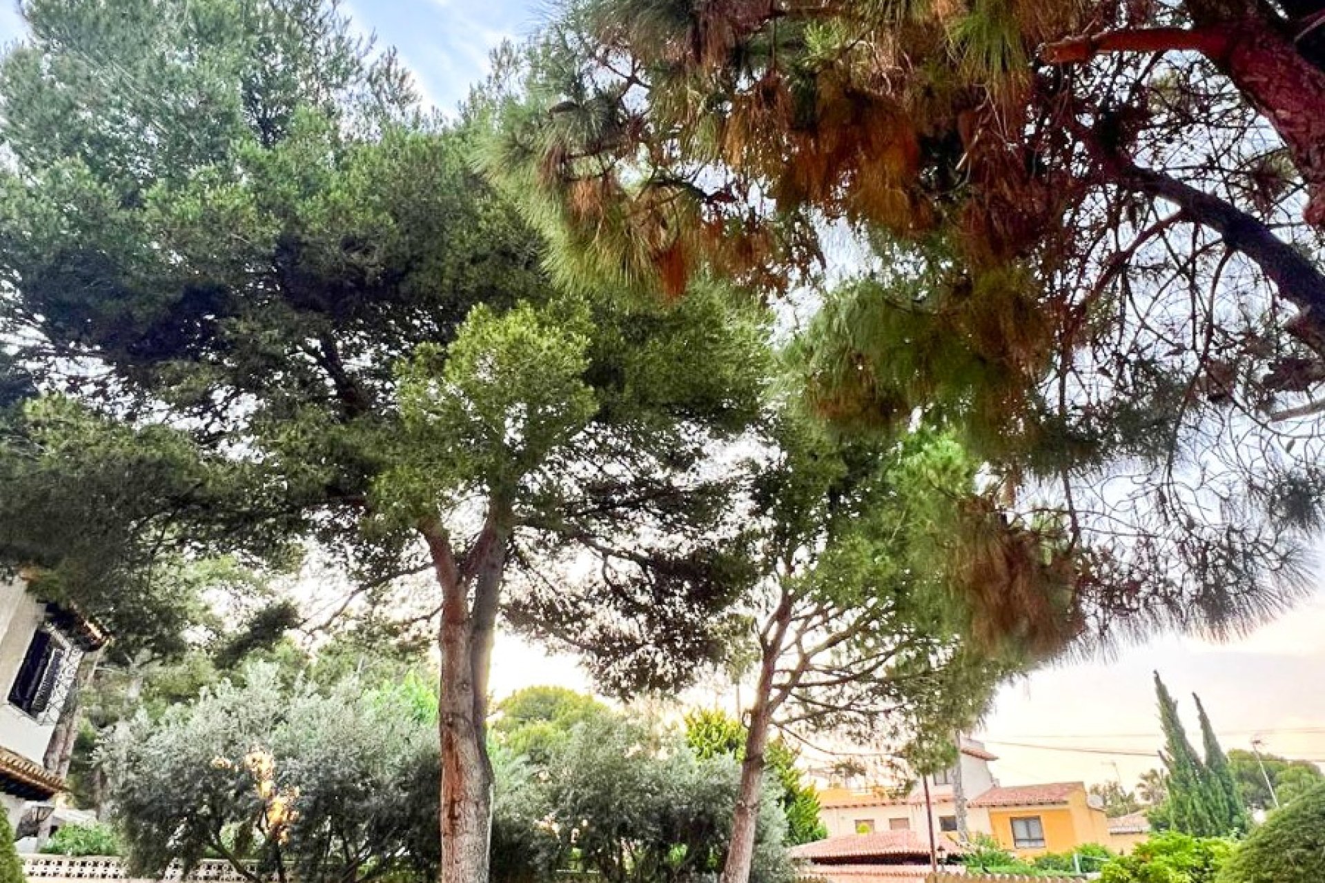 Resale - Villa -
Orihuela Costa - Punta Prima