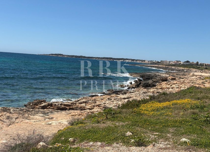 Reventa - apartment -
Campos - Sa Ràpita
