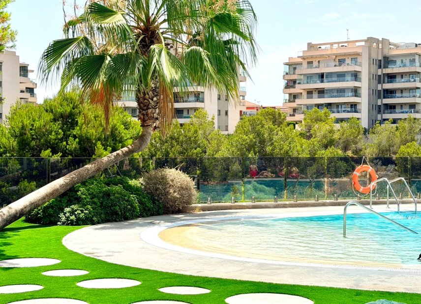 Reventa - apartment -
Orihuela Costa - La Zenia