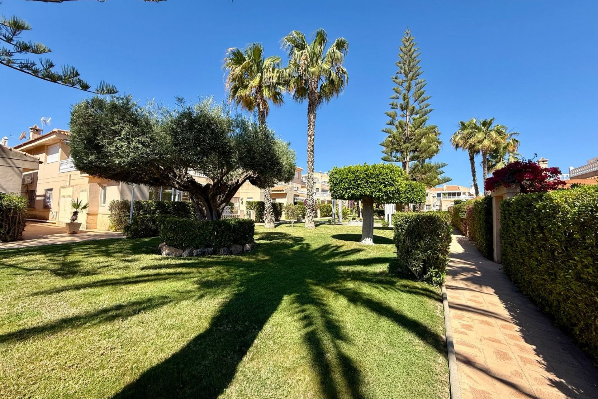 Reventa - apartment -
Orihuela Costa - Playa Flamenca