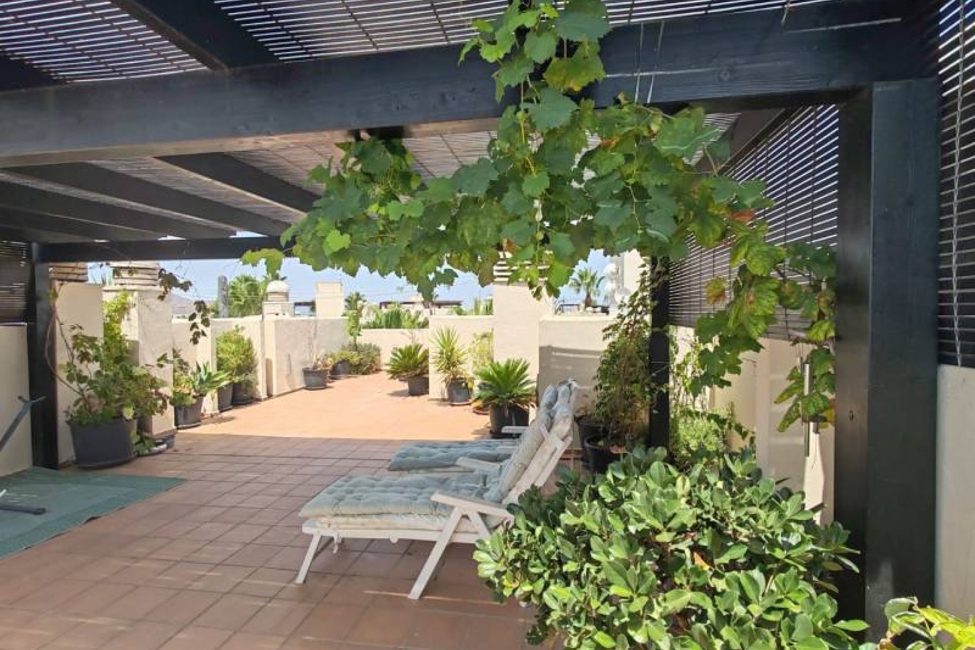 Reventa - apartment -
San Javier - Roda