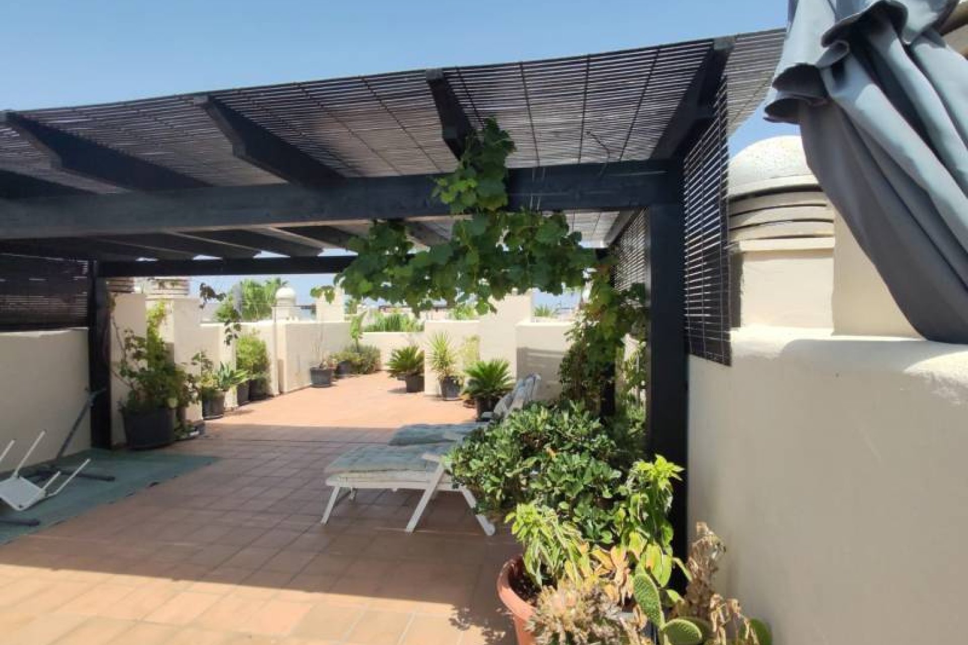 Reventa - apartment -
San Javier - Roda