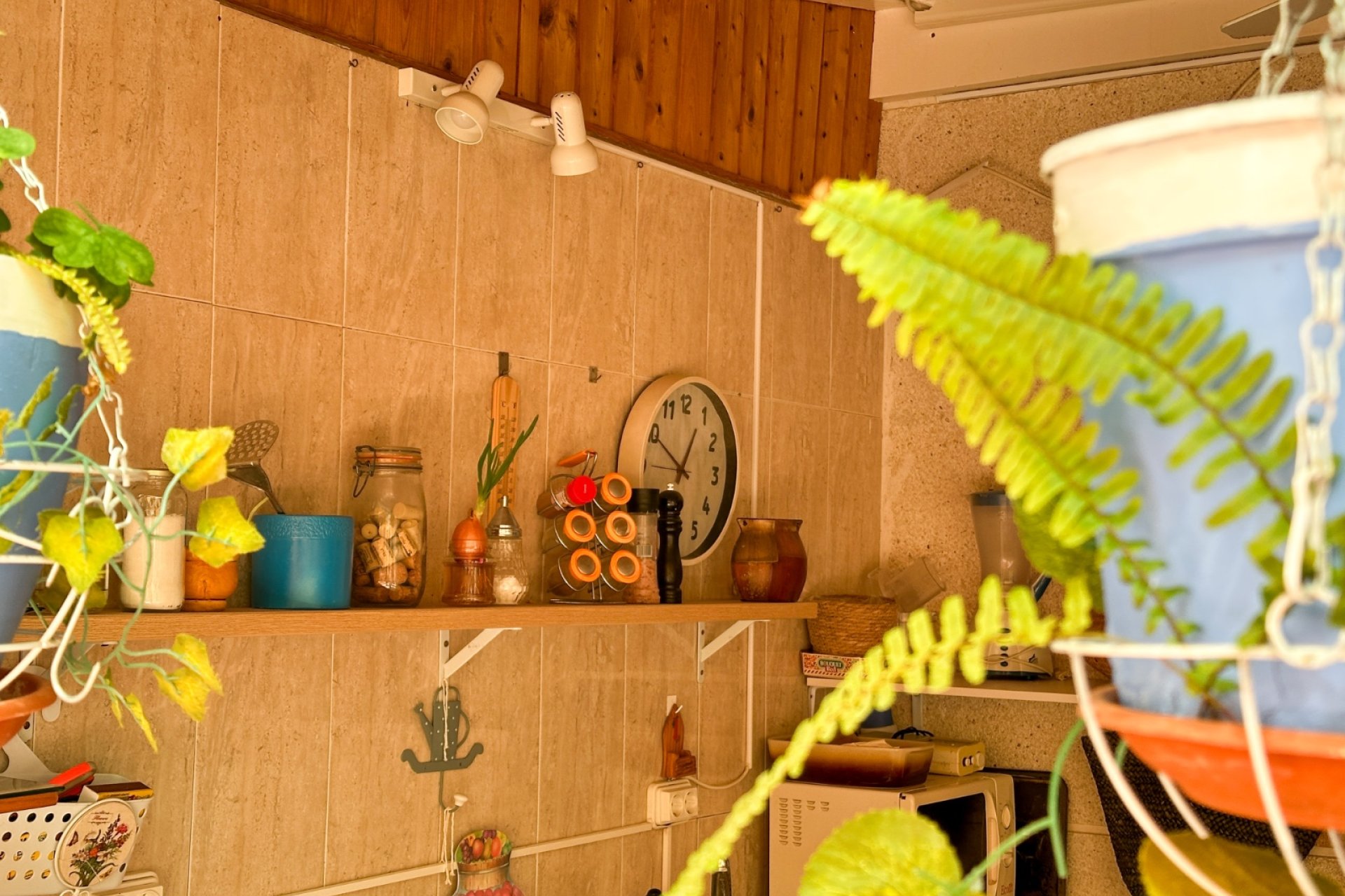 Reventa - apartment -
Torrevieja - Center