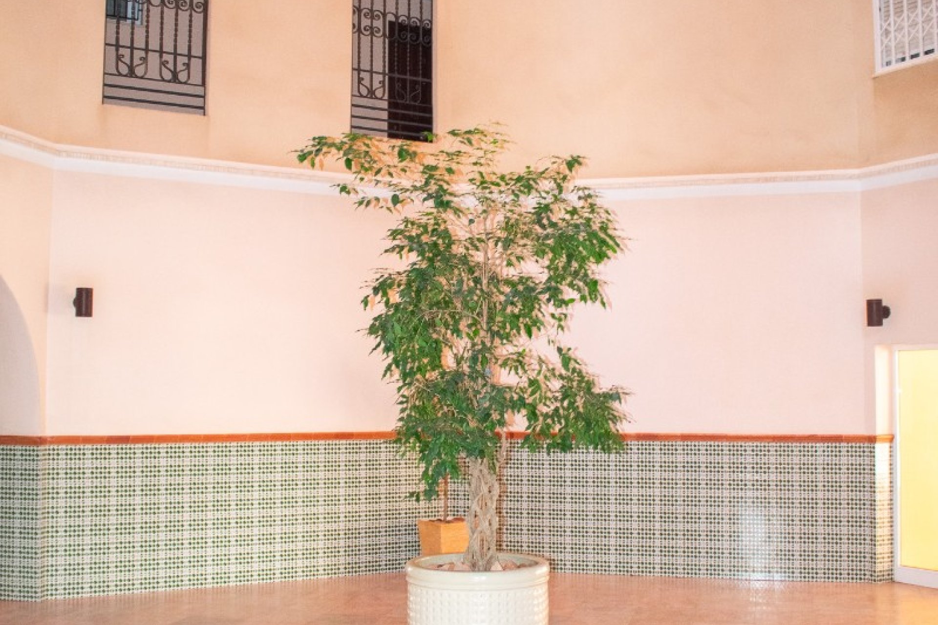 Reventa - apartment -
Torrevieja - Playa Los Locos
