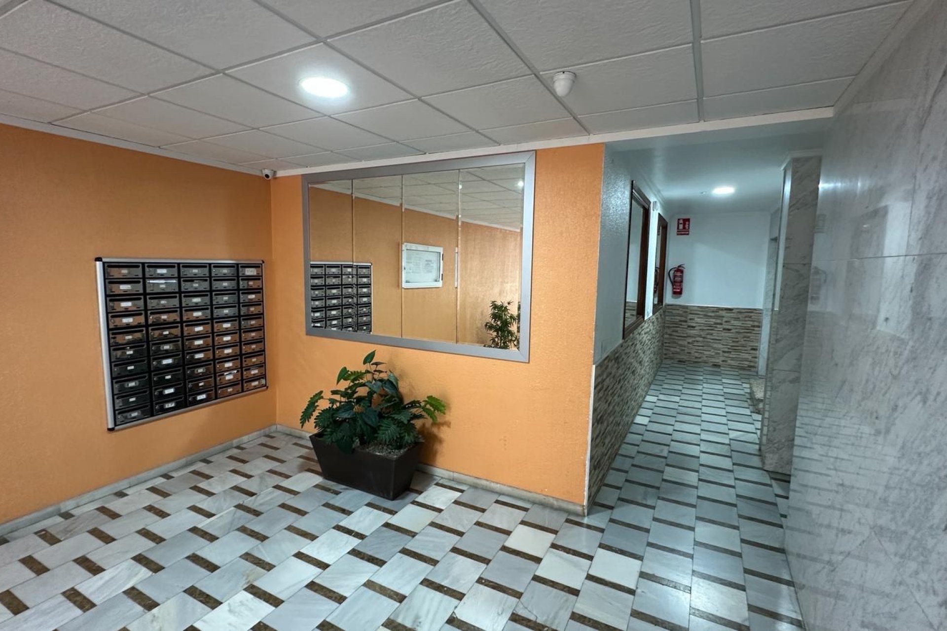 Reventa - apartment -
Torrevieja - Playa Los Naufragos