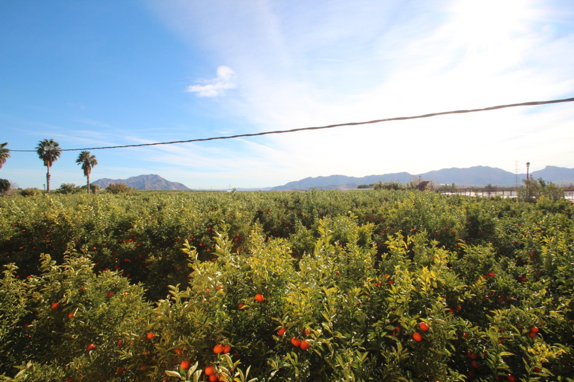 Reventa - Country House -
Murcia - Costa Blanca