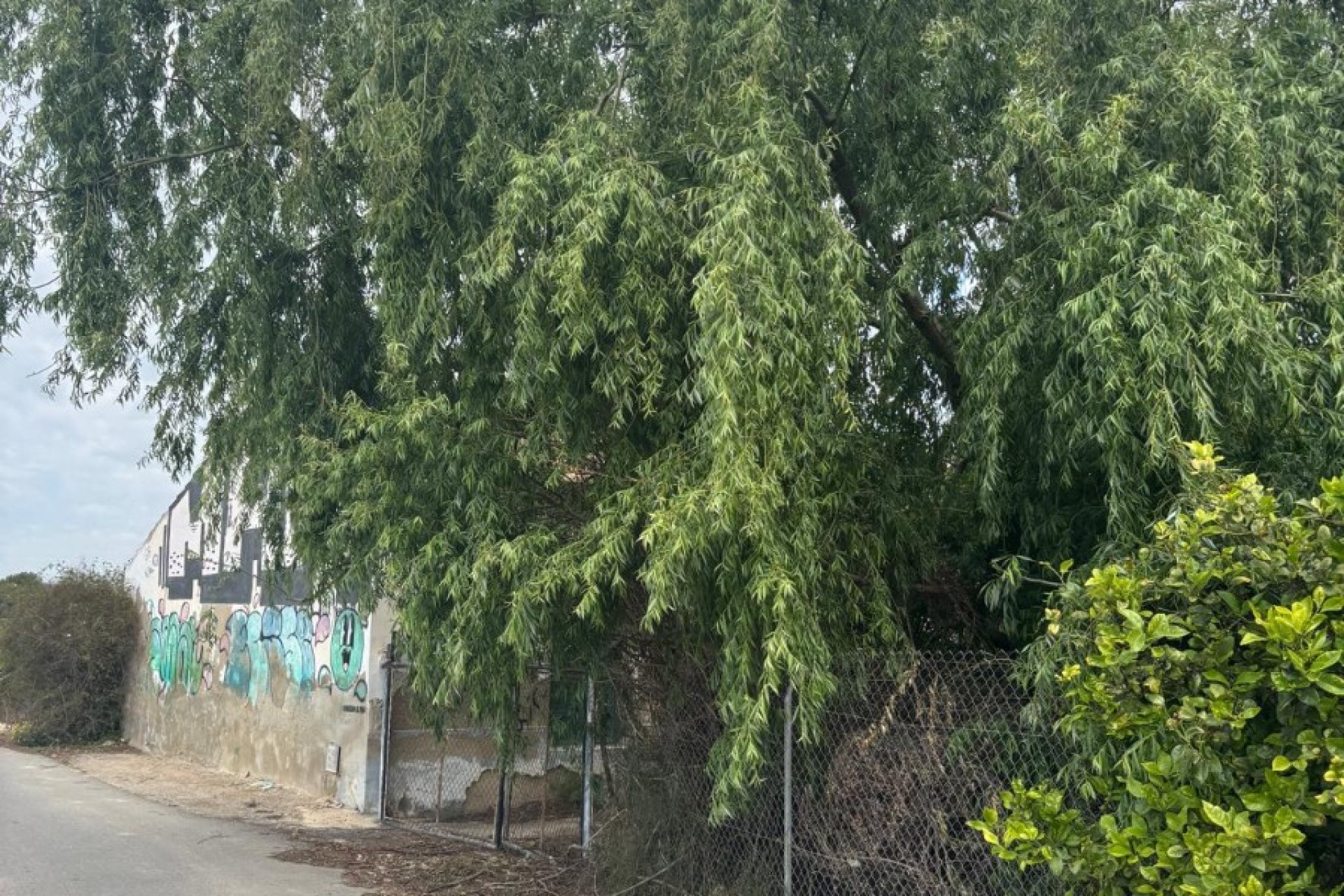 Reventa - Country House -
Rojales - Ciudad Quesada