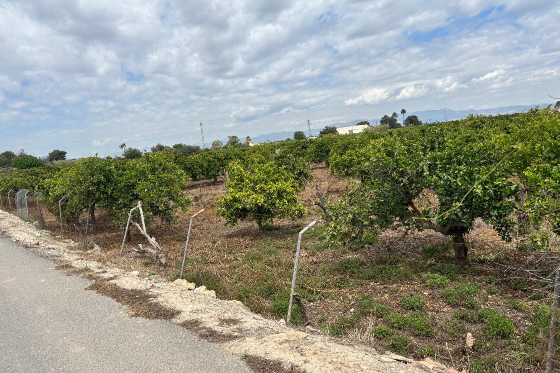 Reventa - Country House -
Rojales - Ciudad Quesada