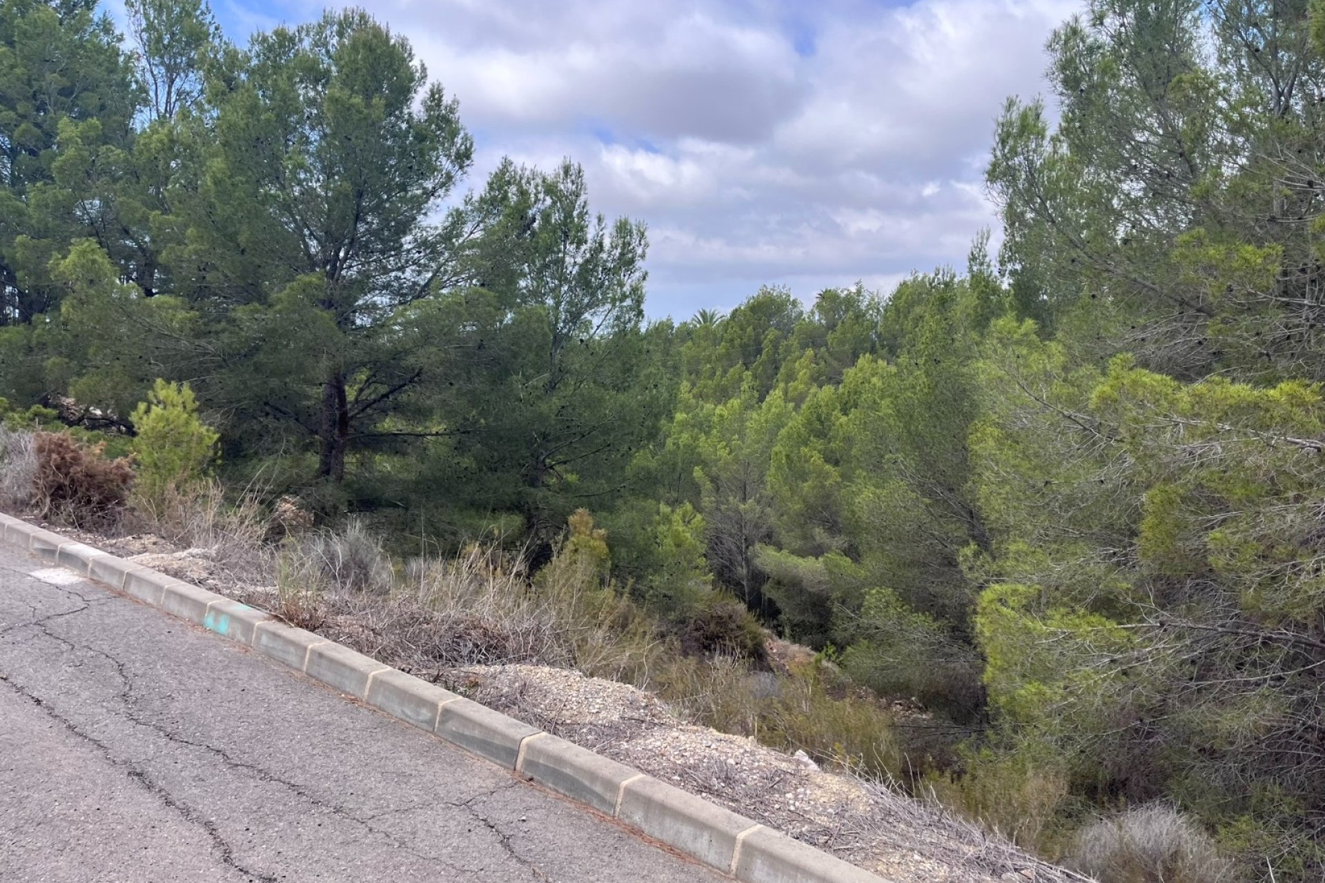 Reventa - Land -
Altea - Sierra de Altea