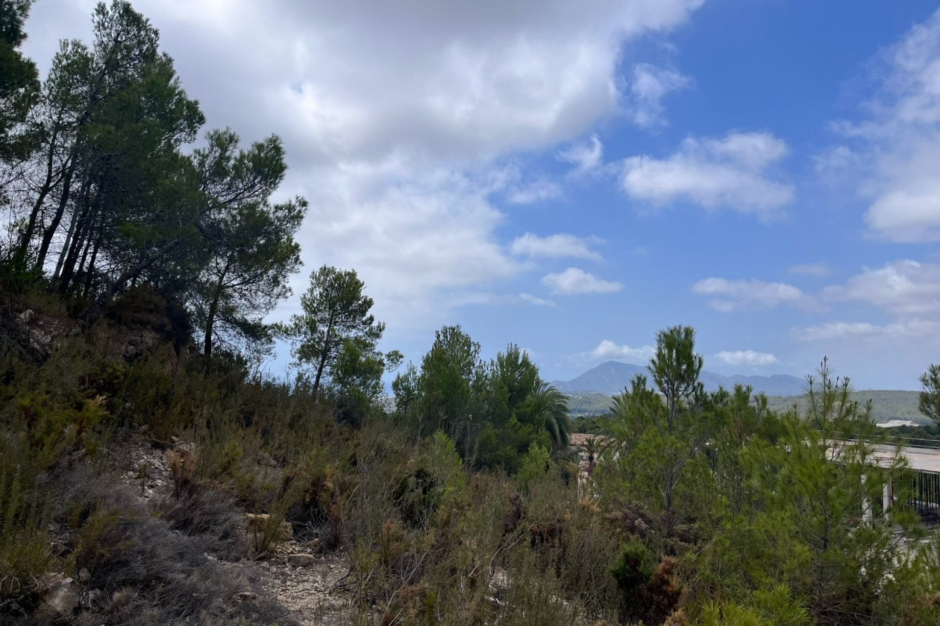Reventa - Land -
Altea - Sierra de Altea