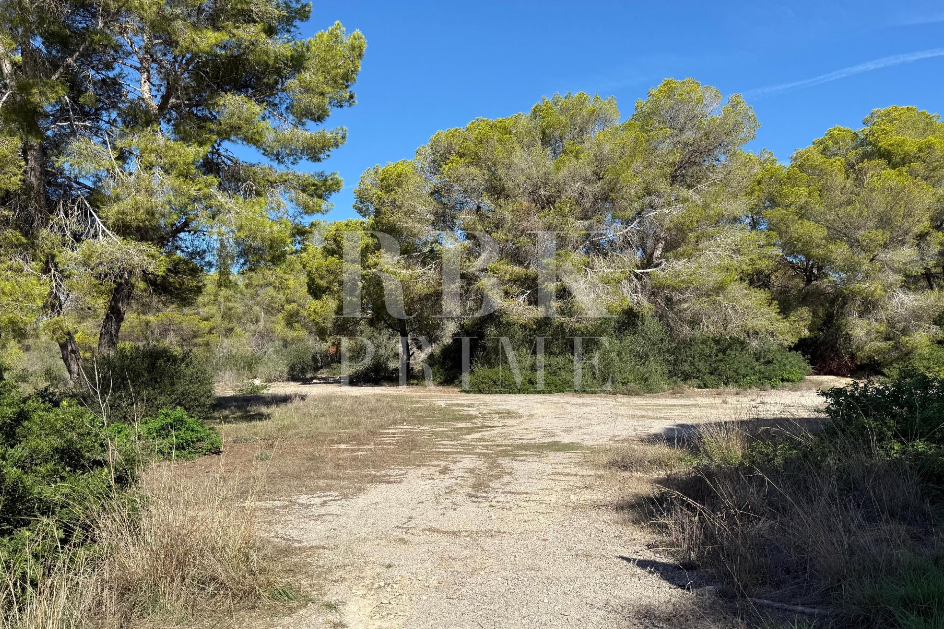 Reventa - Land -
Calvià - Sol de Mallorca
