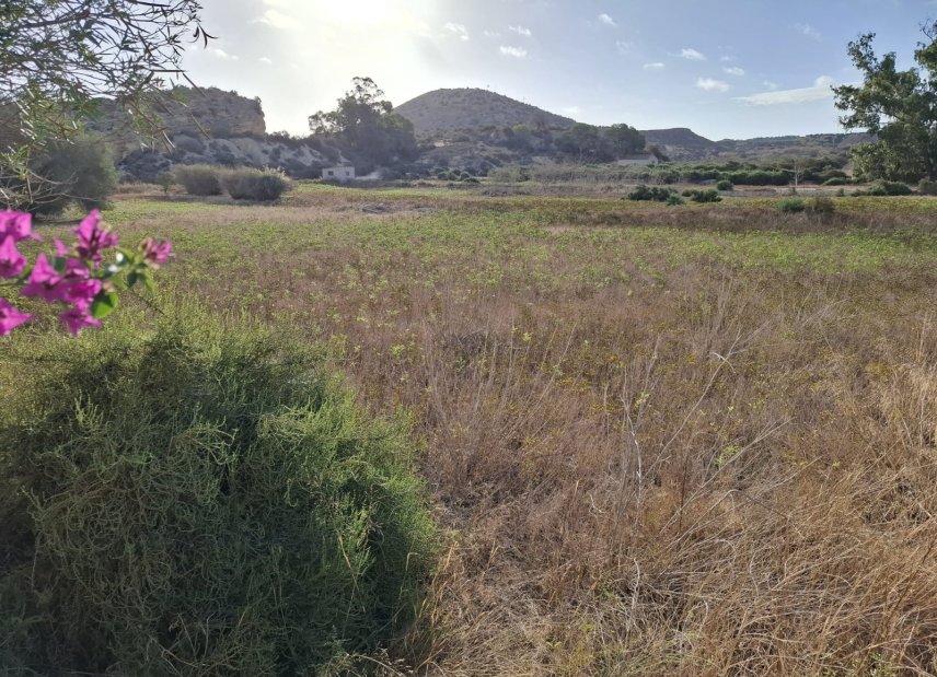 Reventa - Land -
Rojales - Ciudad Quesada