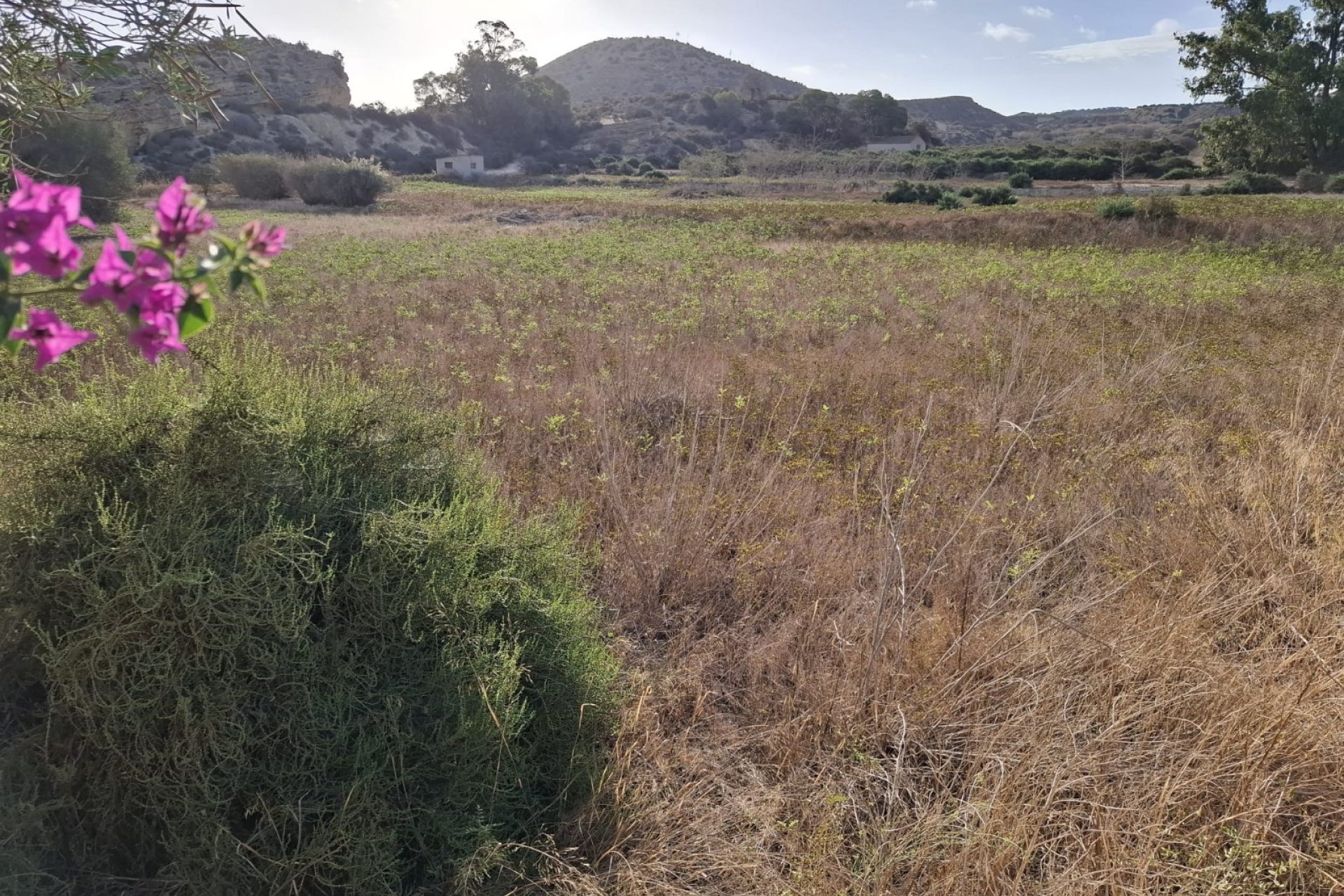 Reventa - Land -
Rojales - Ciudad Quesada