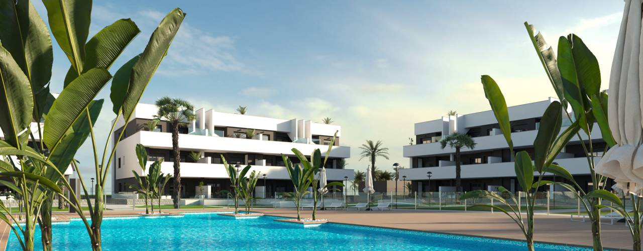 Oasis Laguna 2