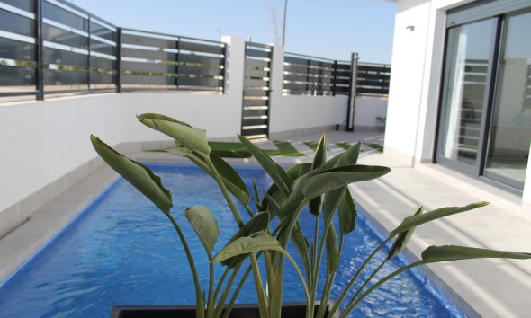 Nybyggeri - detached -
Roldán
