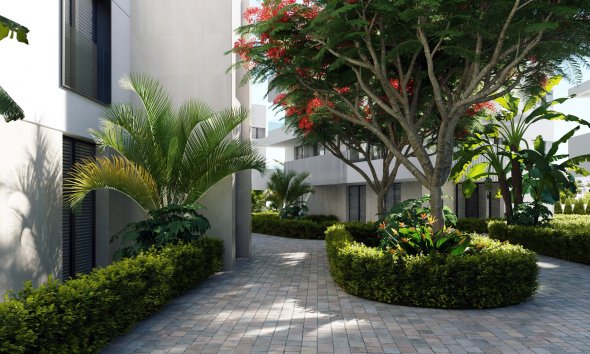 Nybyggeri - Penthouse -
Santa Rosalía