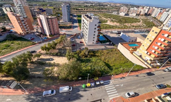 Gensalg - Land -
Guardamar del Segura