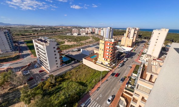 Gensalg - Land -
Guardamar del Segura
