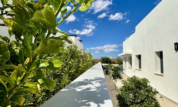 Nybyggeri - detached -
Benijofar