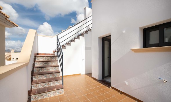 Nybyggeri - terraced -
Cox