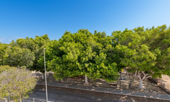 Nybyggeri - Villa -
Mil Palmeras