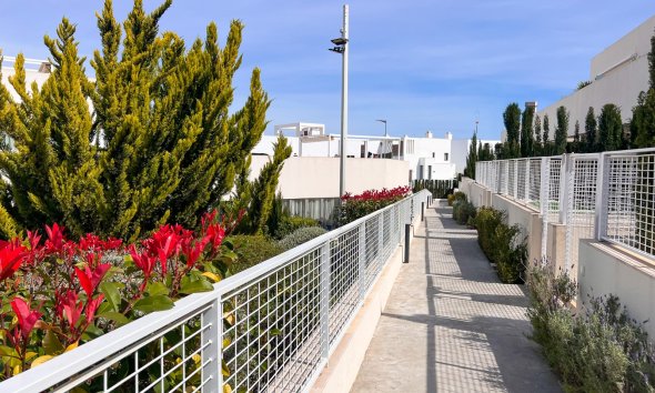 Gensalg - apartment -
Torrevieja - Los Balcones
