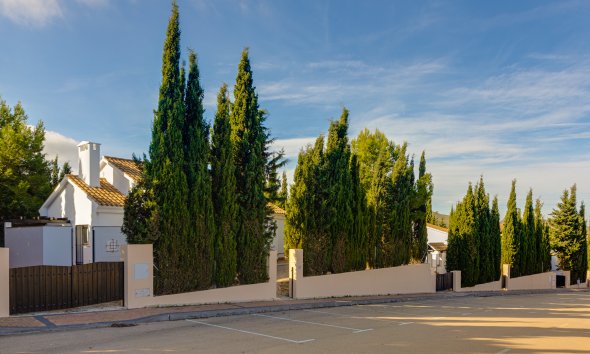 Nybyggeri - detached -
Fuente Alamo