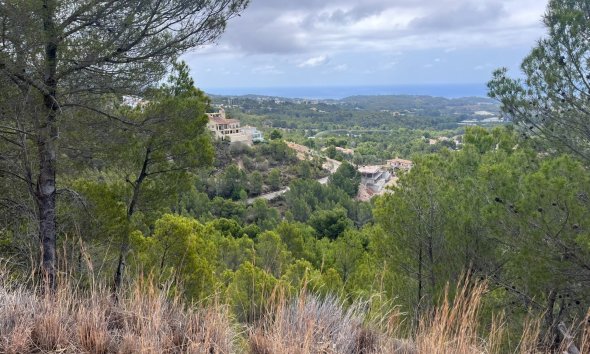 Gensalg - Land -
Altea - Sierra de Altea