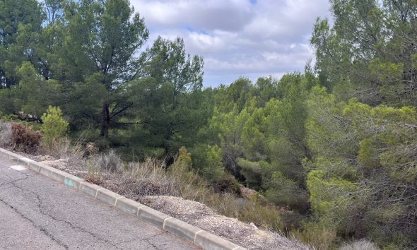 Gensalg - Land -
Altea - Sierra de Altea