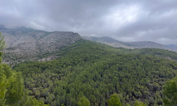 Gensalg - Land -
Altea - Sierra de Altea