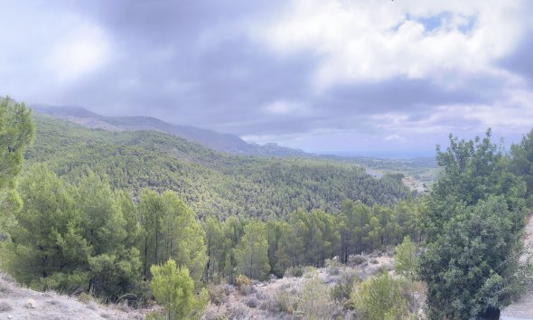 Gensalg - Land -
Altea - Sierra de Altea