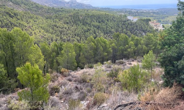 Gensalg - Land -
Altea - Sierra de Altea