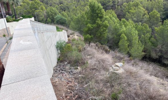 Gensalg - Land -
Altea - Sierra de Altea
