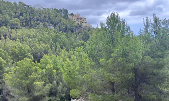 Gensalg - Land -
Altea - Sierra de Altea