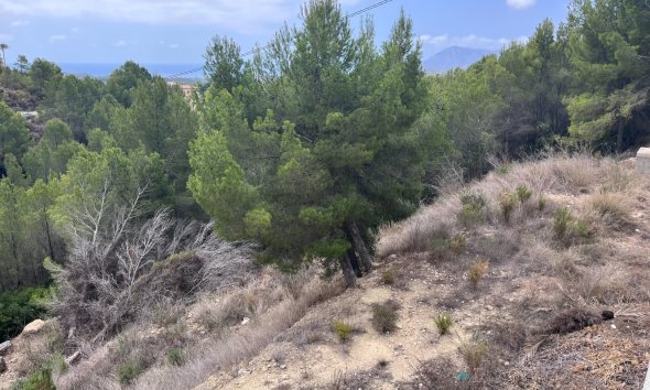 Gensalg - Land -
Altea - Sierra de Altea