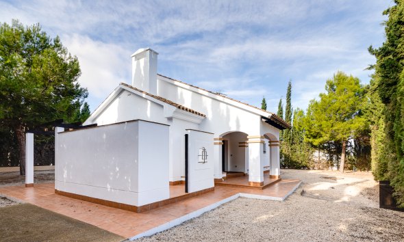 Nybyggeri - detached -
Fuente Alamo