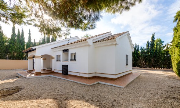 Nybyggeri - detached -
Fuente Alamo