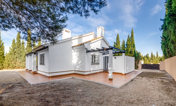 Nybyggeri - detached -
Fuente Alamo