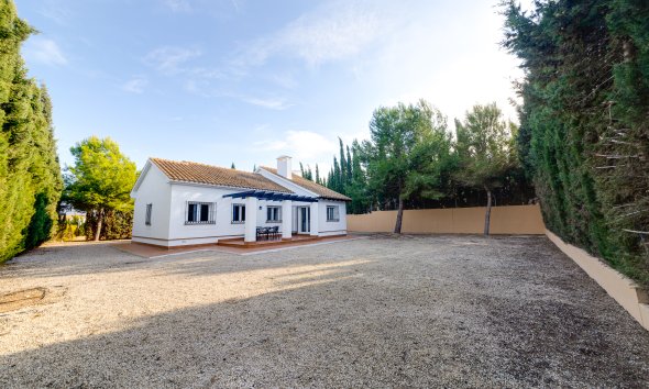 Nybyggeri - detached -
Fuente Alamo