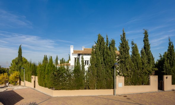 Nybyggeri - detached -
Fuente Alamo
