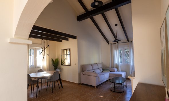 Nybyggeri - detached -
Fuente Alamo