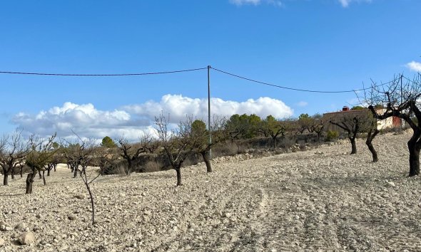 Gensalg - Land -
BULLAS - Costa Calida